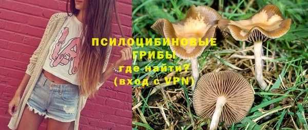 spice Баксан