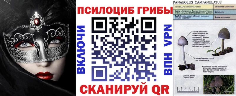 Галлюциногенные грибы мухоморы наркошоп Лакинск